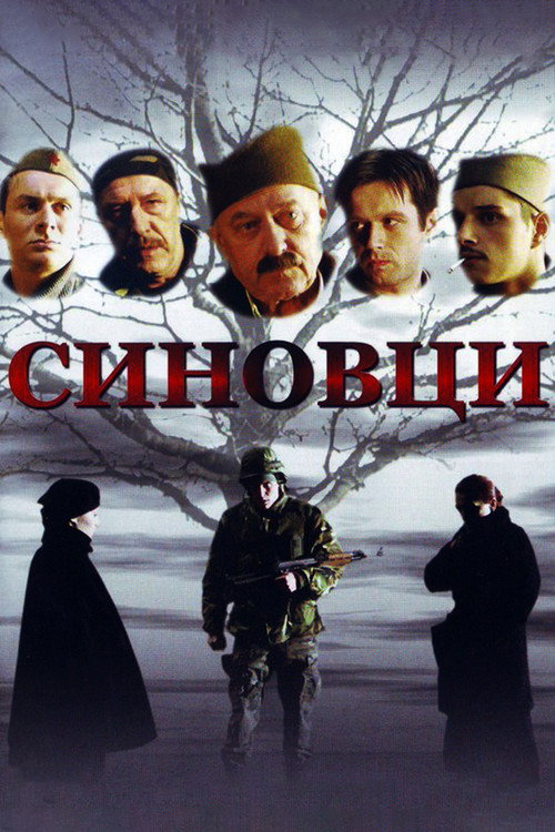 Movie poster for Sons of My Brothers (2006)