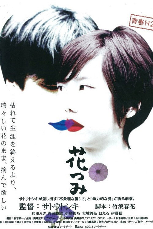 Movie poster for Picking Up Flowers (2011)