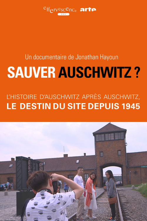 Movie poster for Sauver Auschwitz ? (2017)