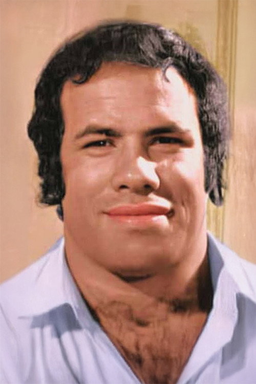 Photo of Firouz, Acting