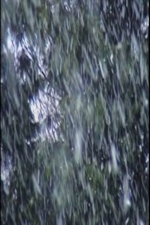 Movie poster for H2O-0C-24.02.06-12.01GMT - 03,50.40W - 50.16.30N (2006)