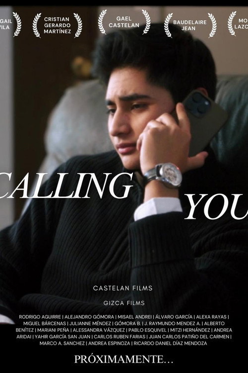 Movie poster for Calling You