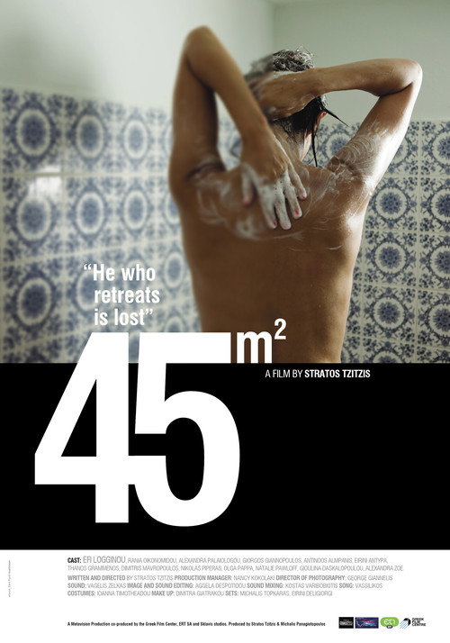 Movie poster for 45m² (2011)