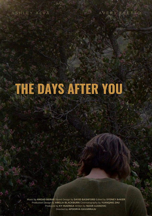 Movie poster for The Days After You (2020)