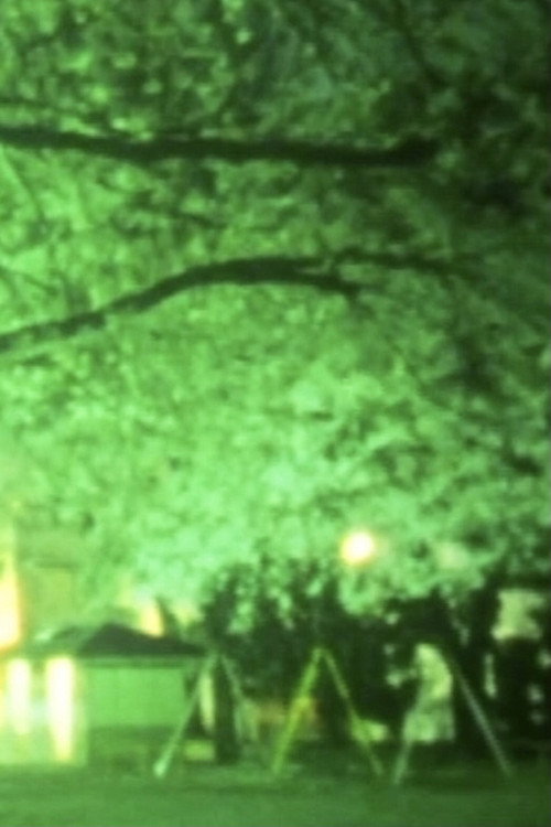 Movie poster for Pedestrians (2010)