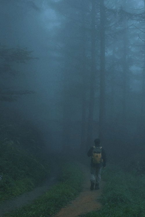 Men Wandering in the Mountain poster