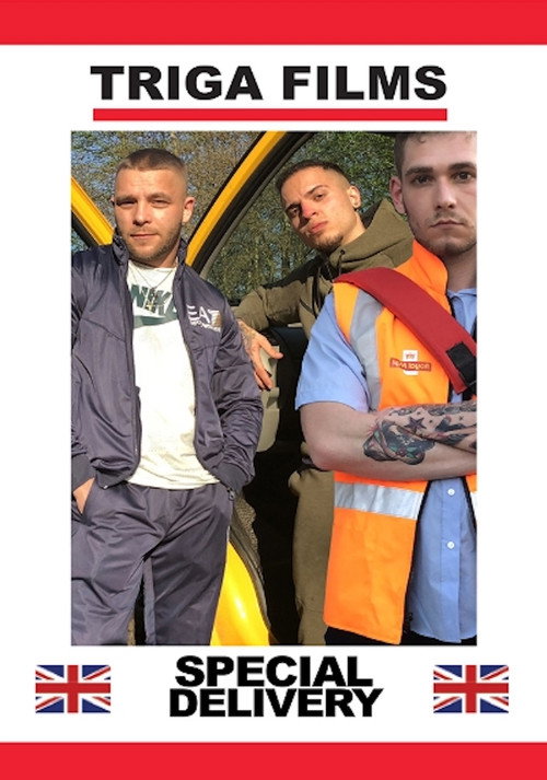 Movie poster for Special Delivery (2016)