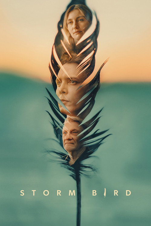 Movie poster for Storm Bird (2026)