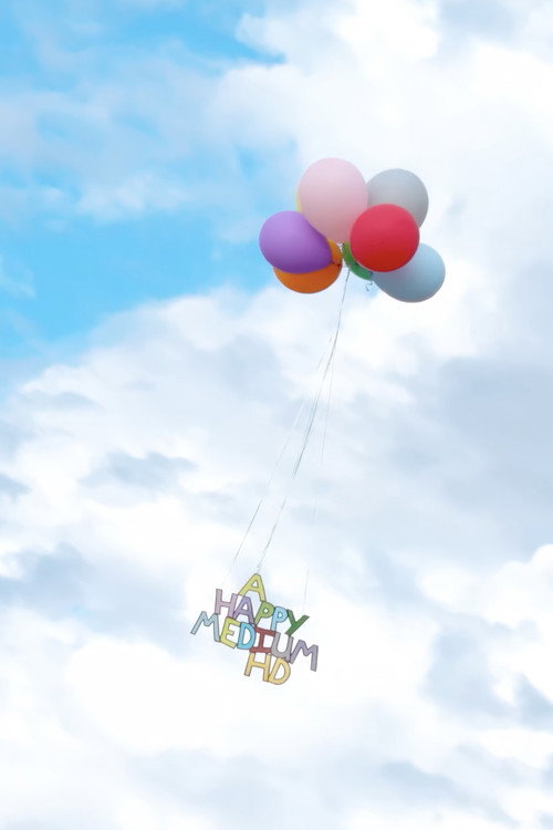 Movie poster for A Happy Medium HD