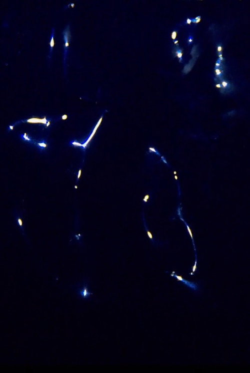 Movie poster for Born to be Yves Klein Blue (2016)