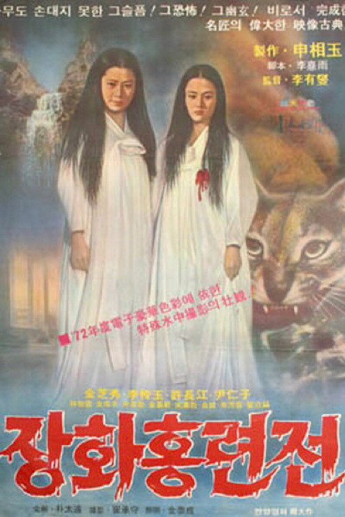 Movie poster for A Story of Two Sisters (1972)