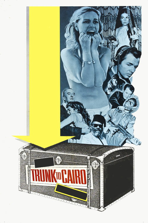 Movie poster for Trunk to Cairo (1966)