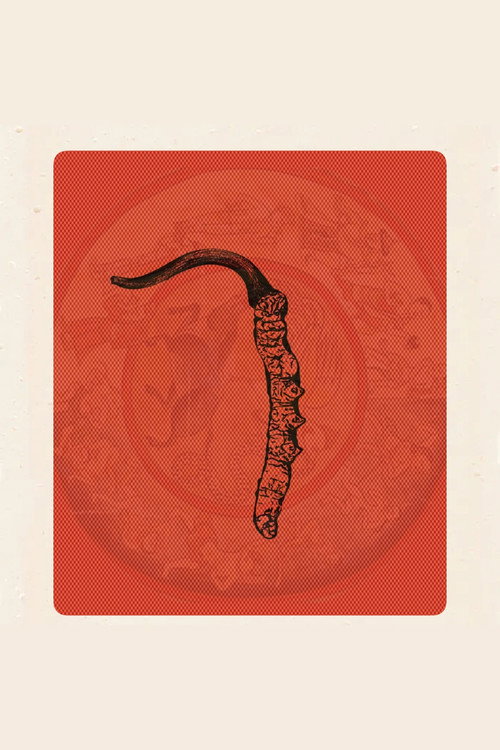 Movie poster for Himalayan Gold