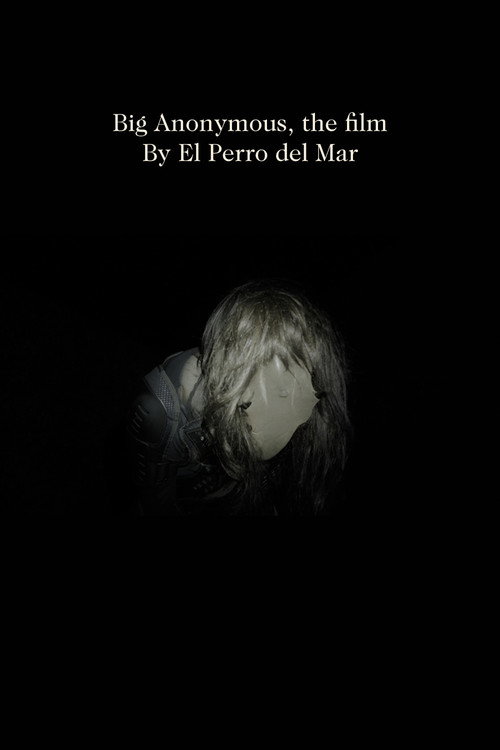 Movie poster for Big Anonymous, the film