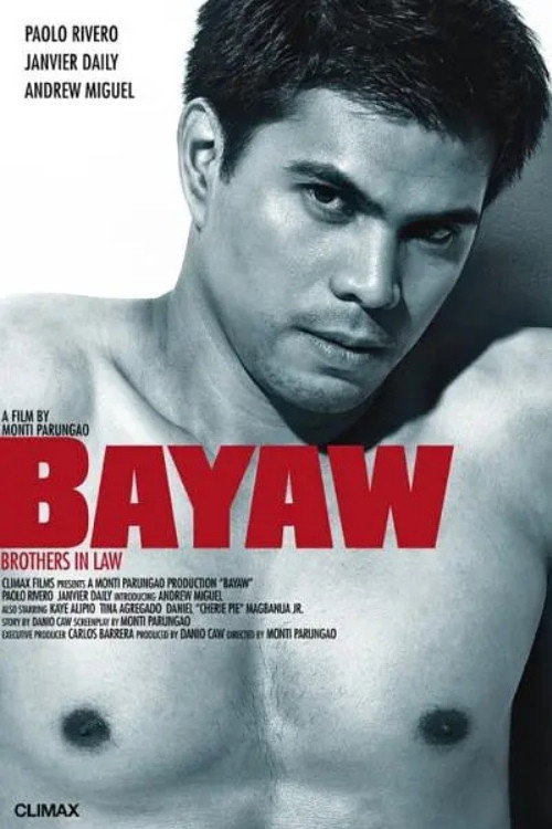 Movie poster for Bayaw (2009)