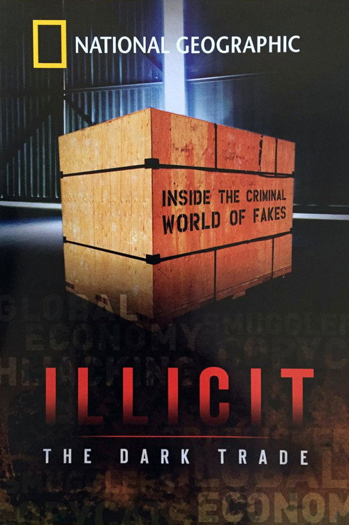 Movie poster for Illicit: The Dark Trade (2008)