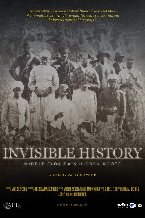Movie poster for Invisible History: Middle Florida's Hidden Roots (2021)