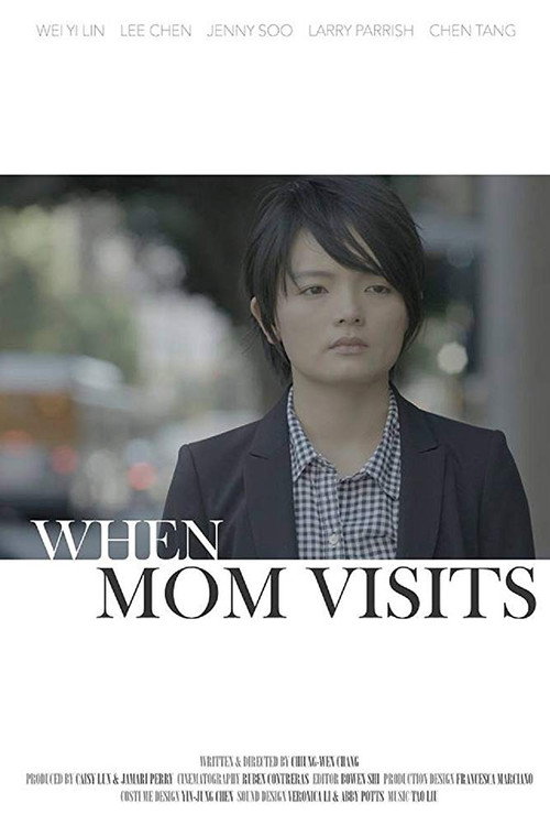 Movie poster for When Mom Visits (2015)
