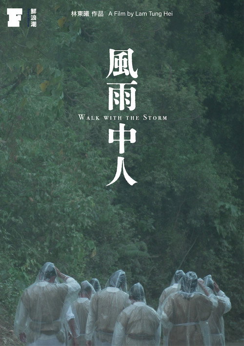 Movie poster for Walk with the Storm (2022)