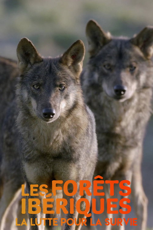 Movie poster for Les forêts ibériques : La lutte pour la survie (2020)