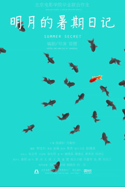 Movie poster for Summer Secret (2014)
