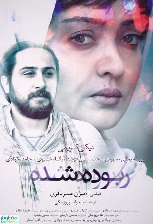 Movie poster for Stolen (2016)