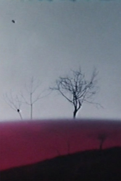 Movie poster for Ho fatto un film a Varese 1° (1970)