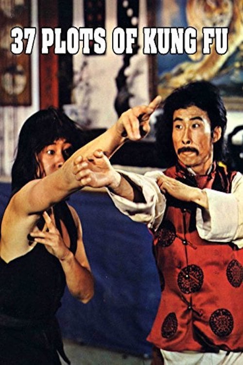 Movie poster for 37 Plots of Kung Fu (1979)