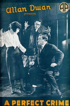 Movie poster for A Perfect Crime (1921)