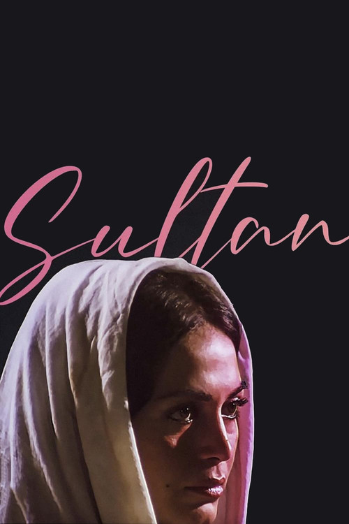 Movie poster for Sultan (1978)