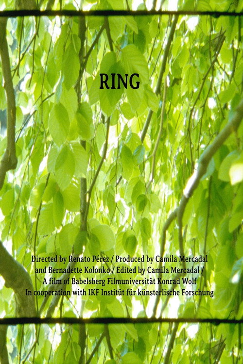 Movie poster for RING (2018)