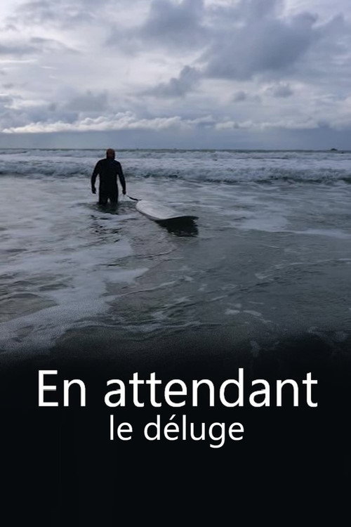Movie poster for En attendant le déluge (2015)