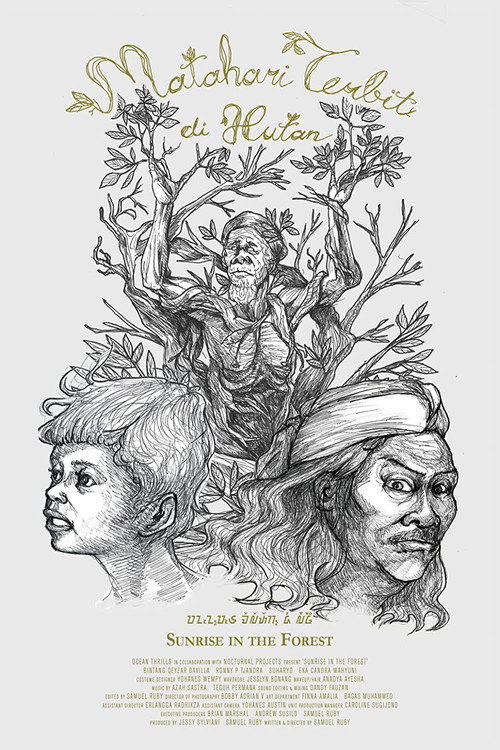 Sunrise in the Forest poster