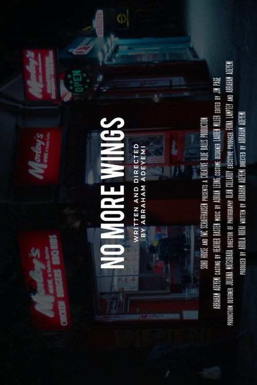Movie poster for No More Wings (2019)