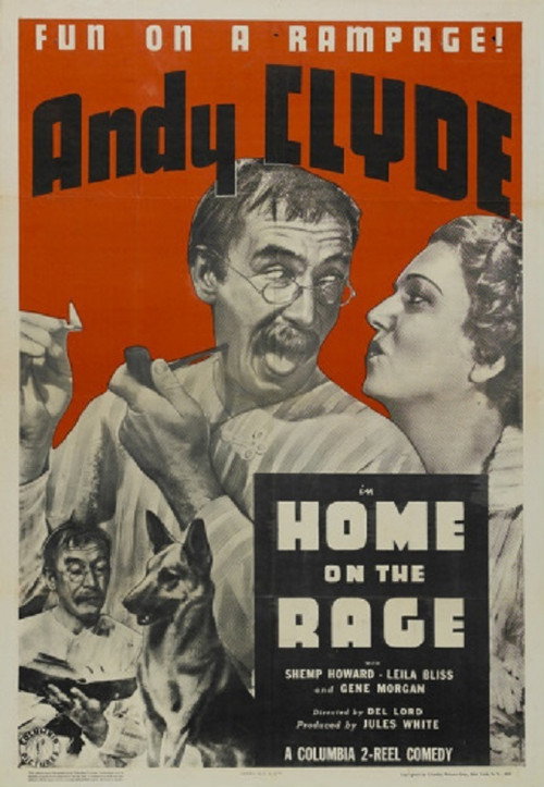 Movie poster for Home on the Rage (1938)