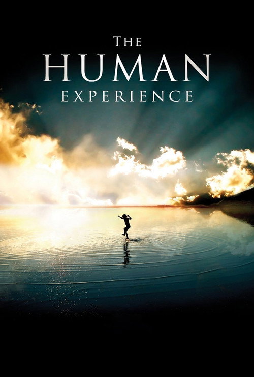 Movie poster for The Human Experience (2008)