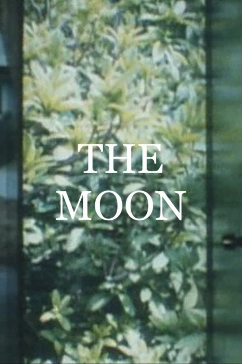 Movie poster for The Moon (1994)