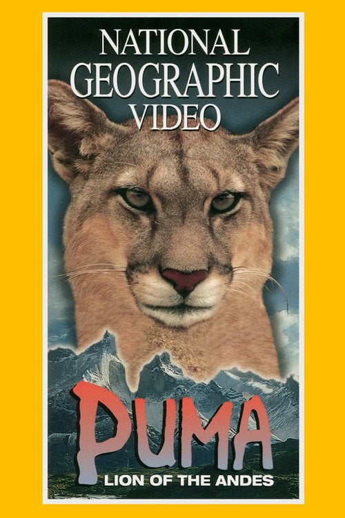 Movie poster for Puma: Lion of the Andes (1996)