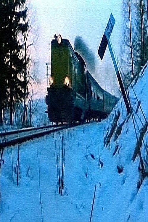 Movie poster for La Treizième Voiture (1993)