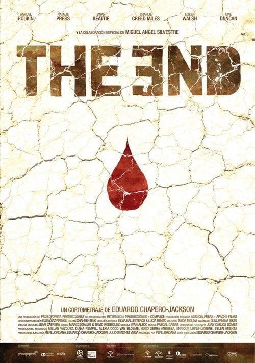 Movie poster for The End (2008)