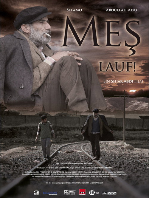 Movie poster for Walking (2012)