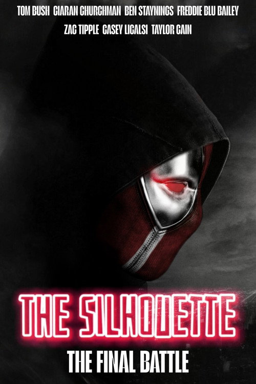 Movie poster for The Silhouette: The Final Battle
