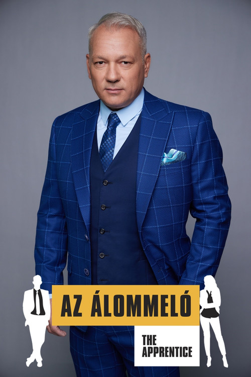 Az álommeló poster
