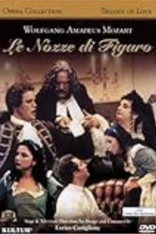 Movie poster for The Weddings of Figaro (2006)