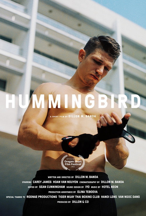 Movie poster for Hummingbird (2022)