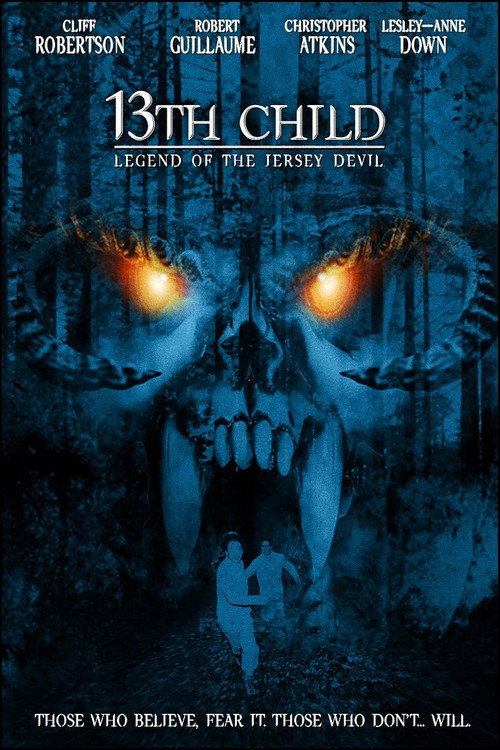Movie poster for 13th Child (2002)
