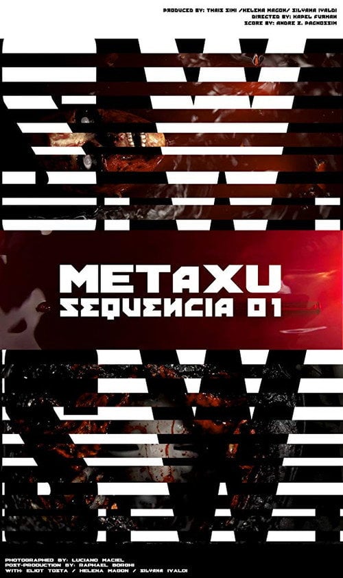 Movie poster for S.W. Metaxu-seq.01 (2013)