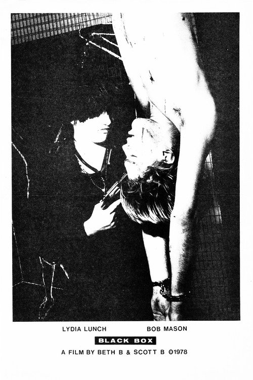 Movie poster for Black Box (1979)