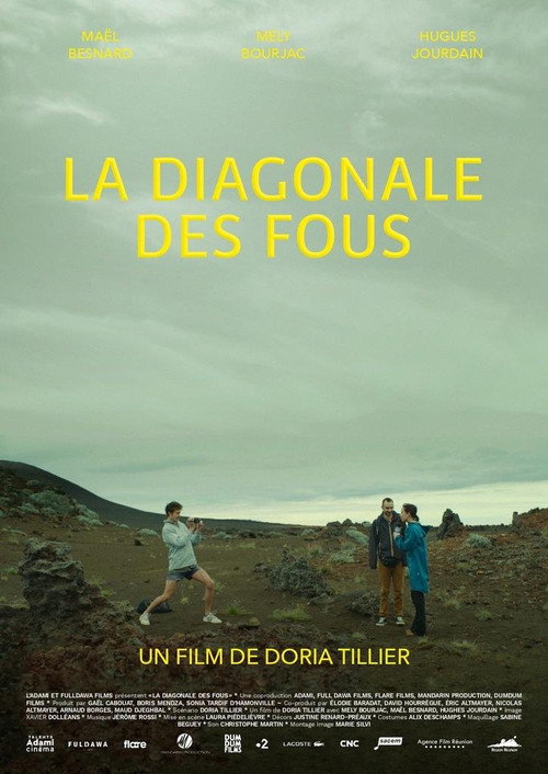 Movie poster for La diagonale des fous (2021)