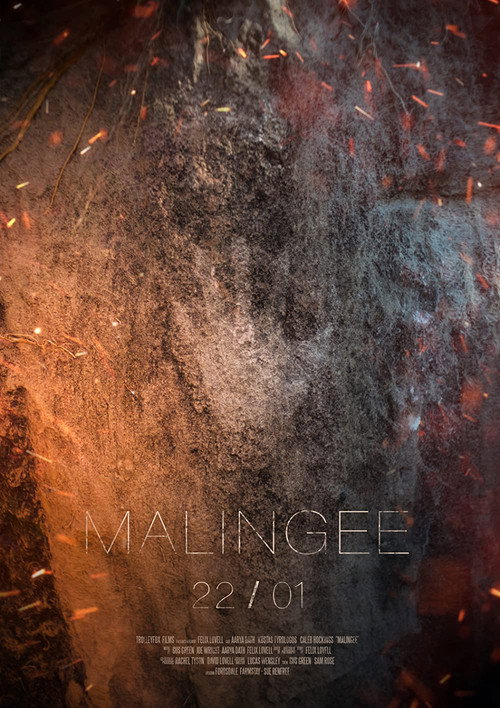 Movie poster for Malingee (2020)